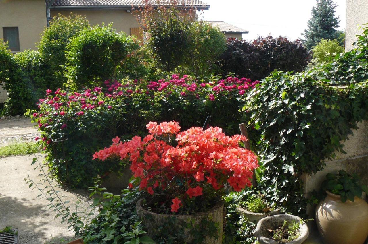 Au The A La Menthe Panzió Romans-sur-Isère Kültér fotó